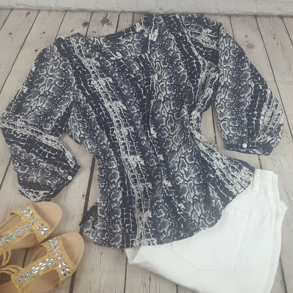 (6) Talbots Silk Blouse